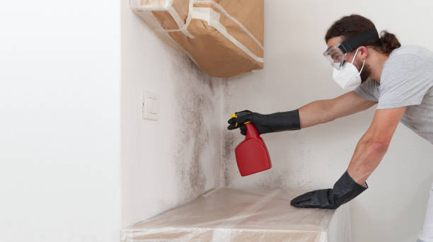 Professional Attic Mold Remediation technician working in Broadview, IL